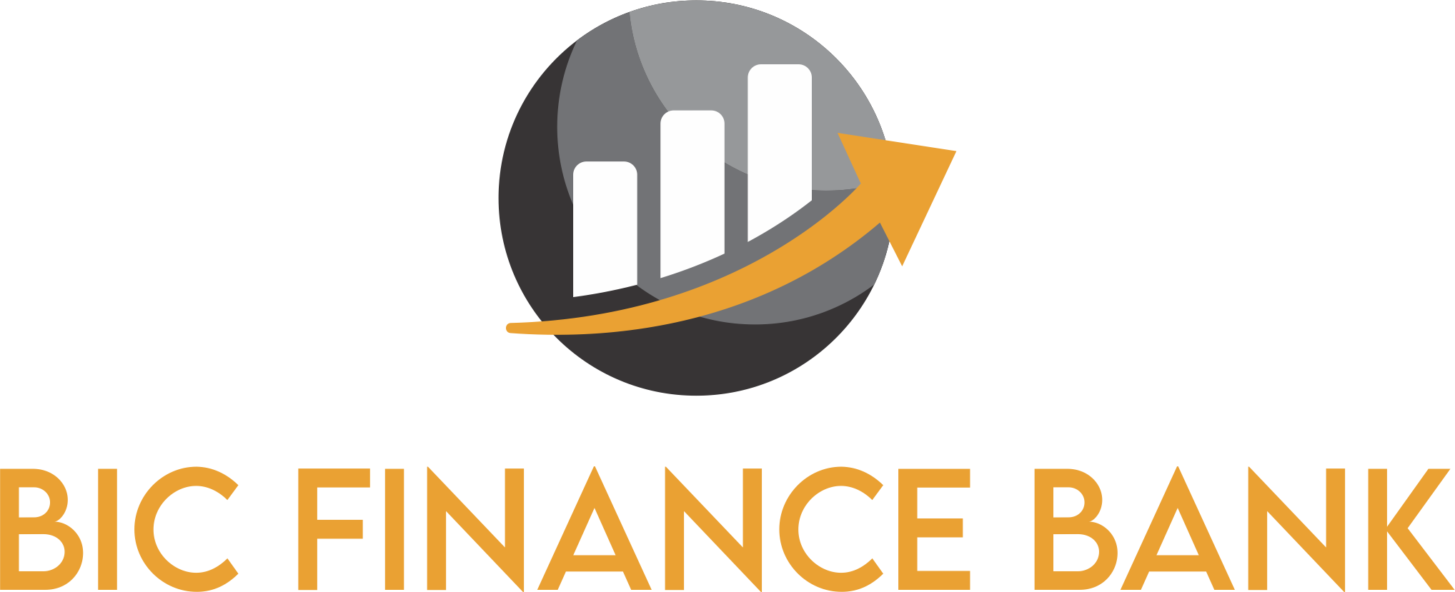 BIC FINANCE Logo
